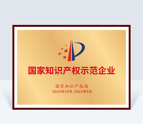 National Intellectual Property Model Enterprise