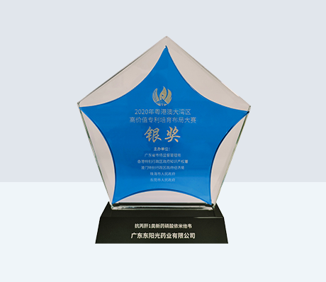 2020年港澳大湾区高价值专利培育布局大赛银奖
