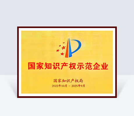 First recognized as National Intellectual Property Model Enterprise in 2017